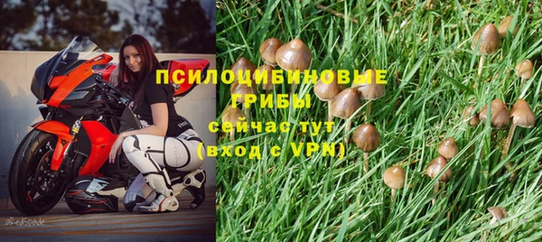 спиды Абаза
