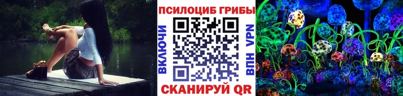 дарк нет формула Сергач Псилоцибиновые грибы мицелий
